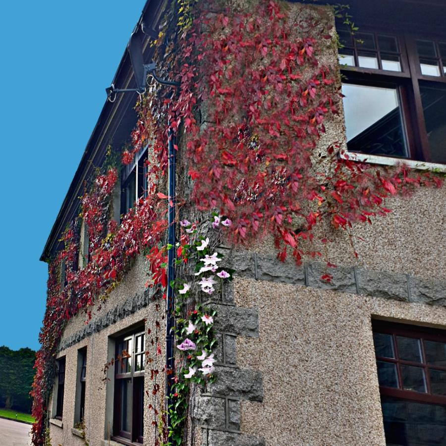 Bogenraith House Hotel Banchory Exterior photo